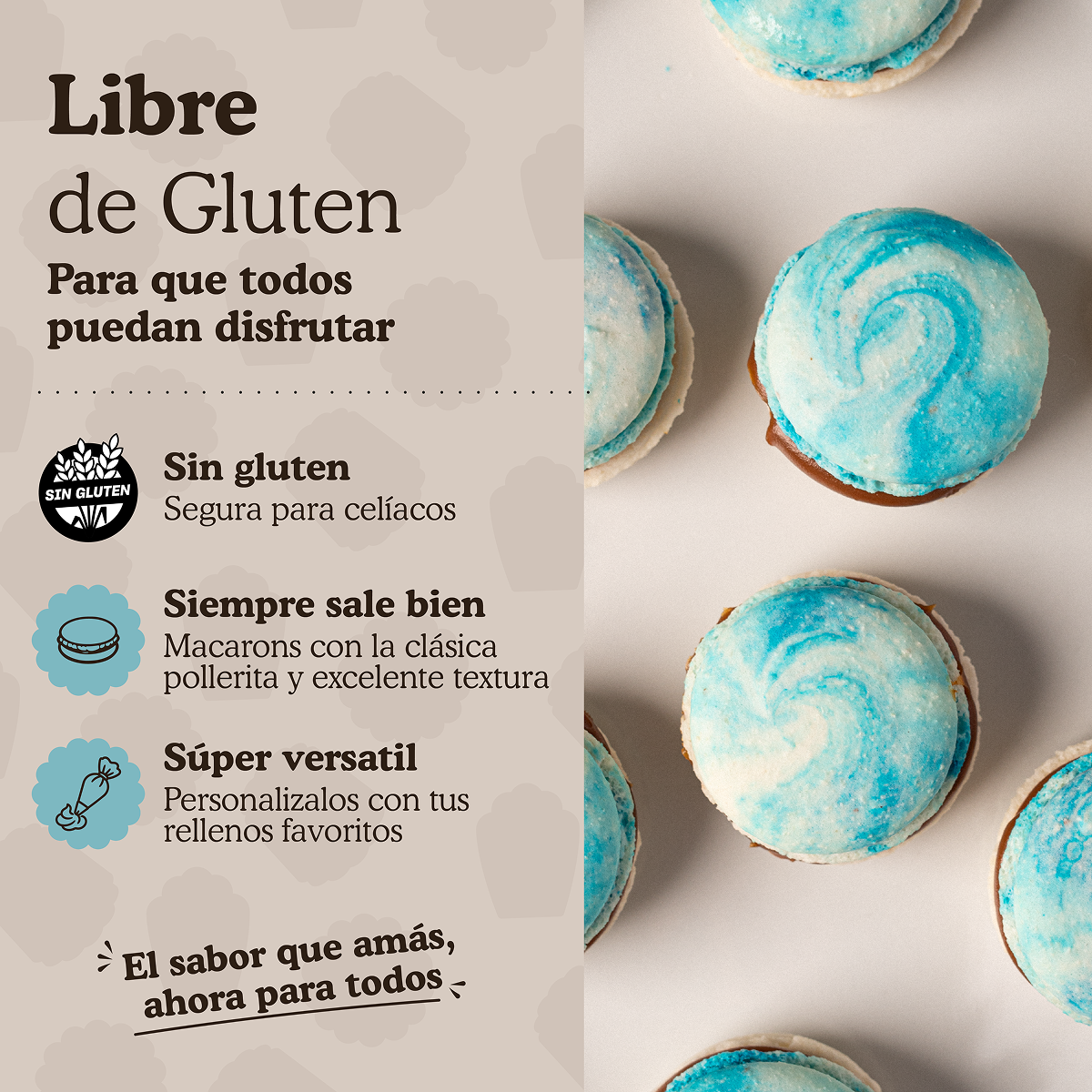 Premezcla para preparar Macarons Ledevit x 250g | Caja x10U imagen 5